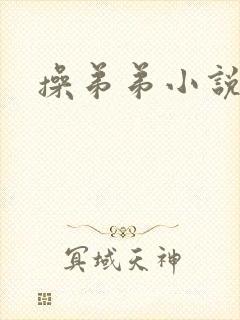 操弟弟小说