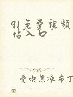 91免费视频网站入口