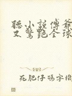 听小说傅爷夫人又惊艳全球了