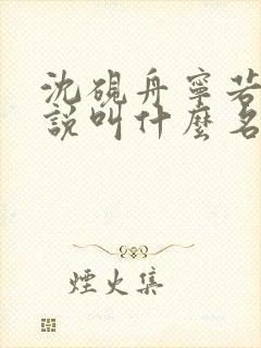 沈砚舟宁若曦小说叫什么名字