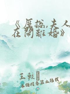 《厉总,夫人又在闹离婚》小说