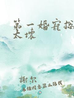 第一婚宠总裁别太坏