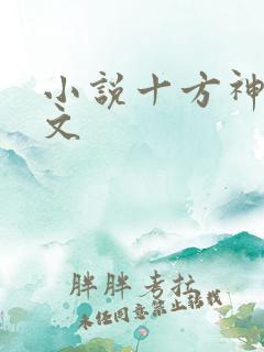 小说十方神王全文