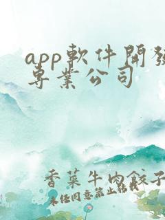 app软件开发专业公司