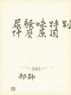 尿骚味特别大是什么原因