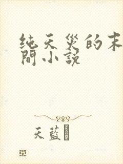 纯天灾的末世空间小说