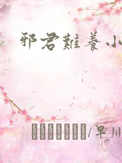 邪君难养小魔妃