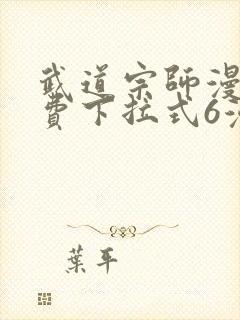 武道宗师漫画免费下拉式6漫画