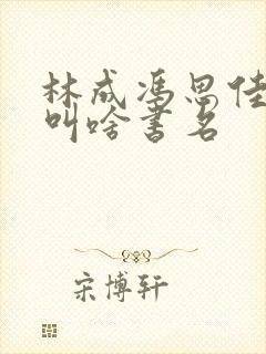 林成冯思佳小说叫啥书名