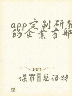 app定制研发的企业有哪些