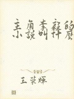 主角李毅的官场小说叫什么名字