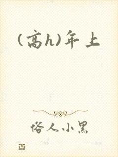 (高h)年上