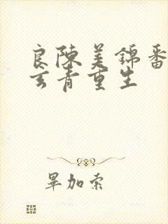 良陈美锦番外陈玄青重生