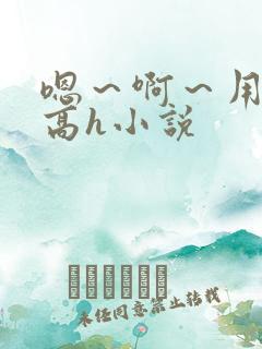 嗯～啊～用力～高h小说