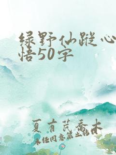 绿野仙踪心得感悟50字
