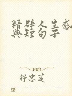 精辟人生感悟经典短句子