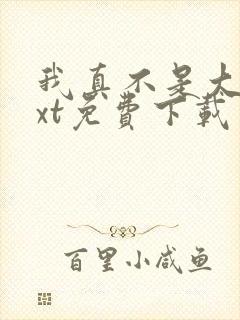 我真不是大佬txt免费下载