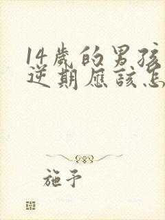 14岁的男孩叛逆期应该怎么办