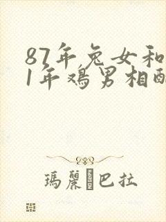 87年兔女和81年鸡男相配婚姻如何