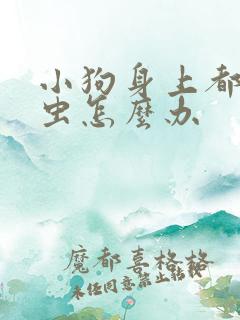 小狗身上都是蜱虫怎么办
