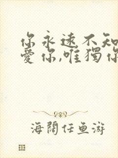 你永远不知道我爱你,唯独你没懂