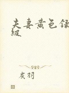 夫妻黄色录像一级