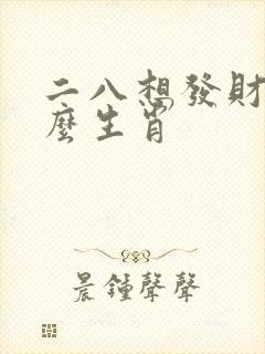 二八想发财是什么生肖