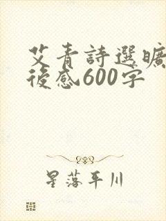 艾青诗选旷野读后感600字