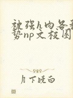 被强h肉各种姿势np文校园