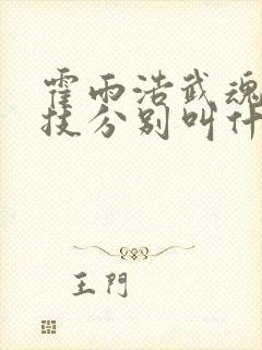 霍雨浩武魂融合技分别叫什么