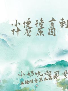 小便后有刺痛感什么原因