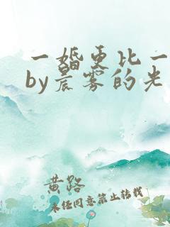 一婚更比一婚高by晨雾的光类似的小说