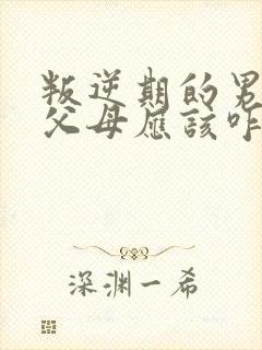 叛逆期的男孩打父母应该咋办