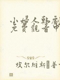 小妇人韩剧全集免费观看中文版