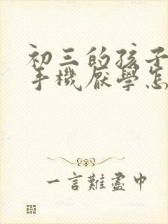 初三的孩子沉迷手机厌学怎么办