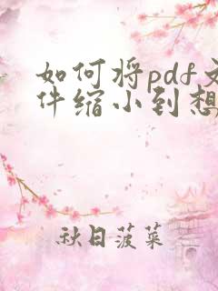 如何将pdf文件缩小到想要的大小