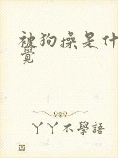 被狗操是什么感觉