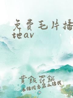 免费毛片播放基地av