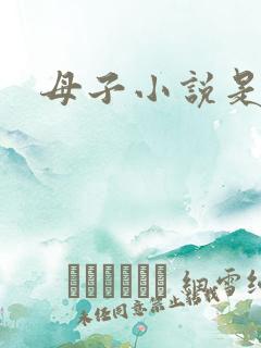 母子小说是什么