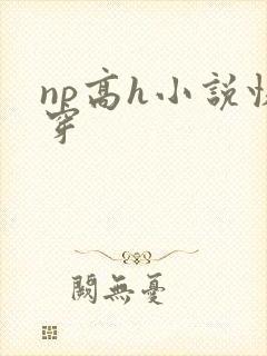 np高h小说快穿