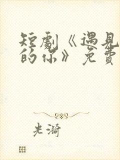 短剧《遇见正确的你》免费观看全集