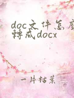 doc文件怎么转成docx