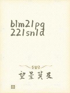 blm21pg221sn1d