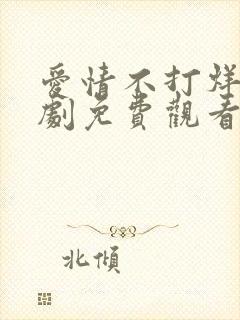 爱情不打烊电视剧免费观看完整版