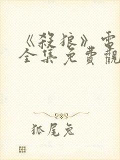 《杀狼》电视剧全集免费观看高清