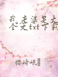 我老婆是大明星全文txt下载