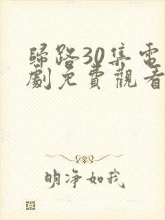 归路30集电视剧免费观看