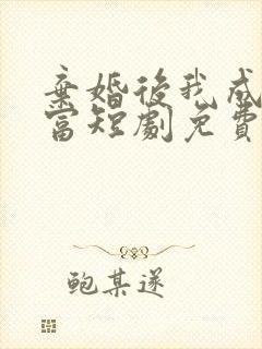 弃婚后我成了首富短剧免费观看