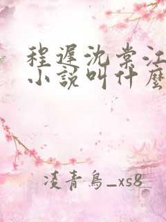 程迟沈棠江言辰小说叫什么名字