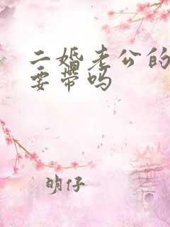 二婚老公的孙子要带吗